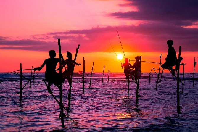 Personal Driver For Your Two Weeks Round Tour In Sri Lanka - Sigiriya, Dambulla, and the Cultural Triangle