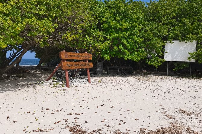 Pigeon Island Snorkeling – Swim with Sharks & Turtles - Three hours in the water, with a moderate fitness demand