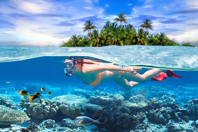 Pigeon Island Snorkeling Tour From Uppuveli Beach - Key Points Before You Book