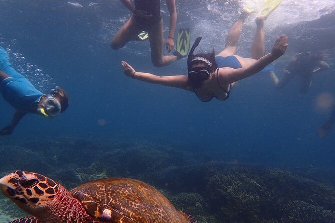Pigeon Island Snorkeling Tour From Uppuveli Beach - How Much the Tour Really Costs