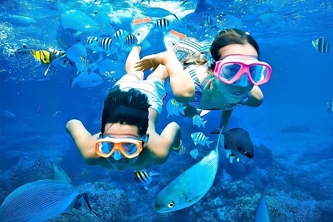Pigeon Island Snorkeling Tour From Uppuveli Beach - The Boat Ride to Pigeon Island