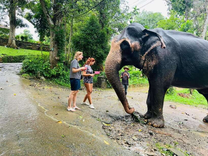 Pinnawala Day Tour from Kandy (Private tour ) - What this Kandy to Pinnawala day actually is