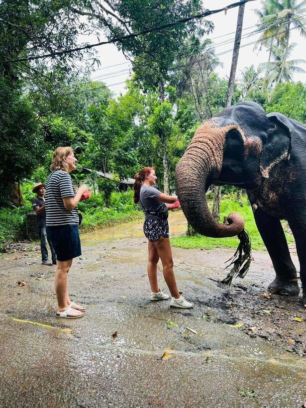 Pinnawala Day Tour from Kandy (Private tour ) - Wood carving, batik, and Lanka silk
