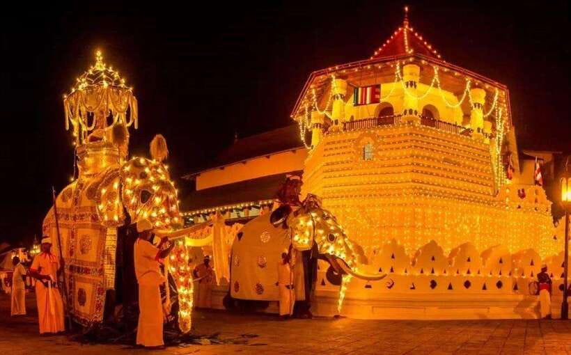 Pinnawala,Kandy Day Tour from Colombo/Negombo - Key points to know before booking