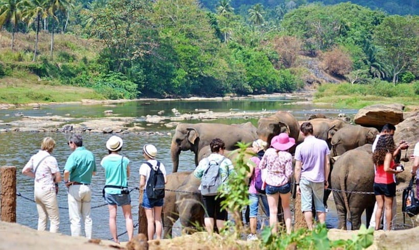 Pinnawala,Kandy Day Tour from Colombo/Negombo - Why this day tour works for first-time visitors