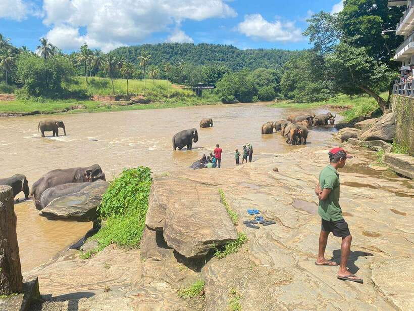 Pinnawala,Kandy Day Tour from Colombo/Negombo - A cautious look at the gemstone factory
