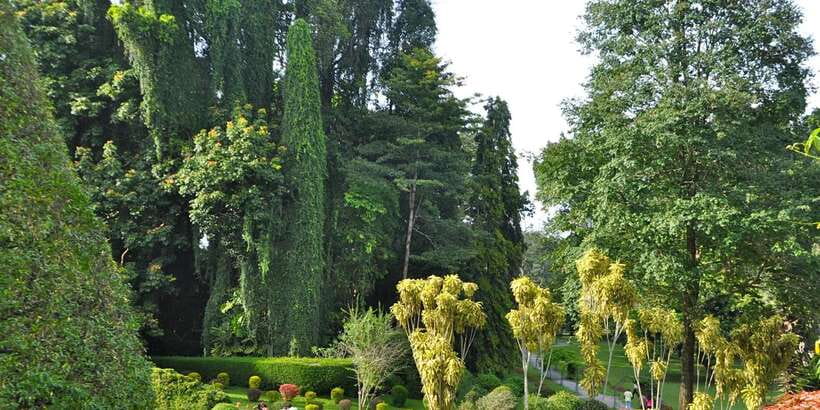 Pinnawala & Kandy Day Tour from Negombo - Key points at a glance