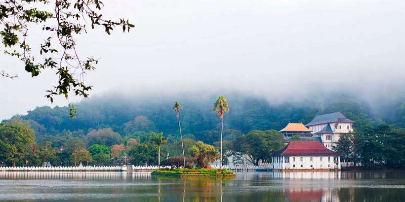 Pinnawala & Kandy Day Tour from Negombo - The Royal Botanic Gardens in 45 minutes