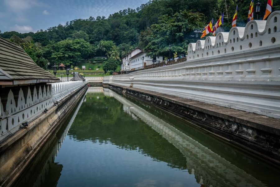 Pinnawala & Kandy Day Tour from Negombo - Lunch and local flavors
