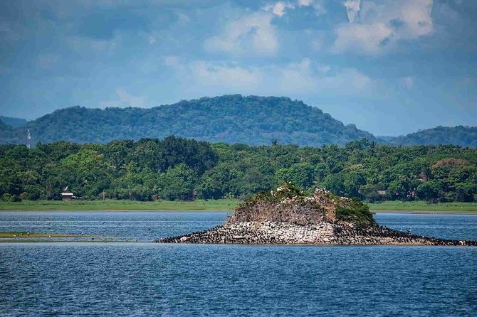 Polonnaruwa Day Tour with Lunch by Mahaweli - Why this private Kandy to Polonnaruwa trip works