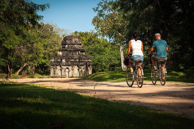 Polonnaruwa Day Tour with Lunch by Mahaweli - Minneriya turns the day into a wildlife outing
