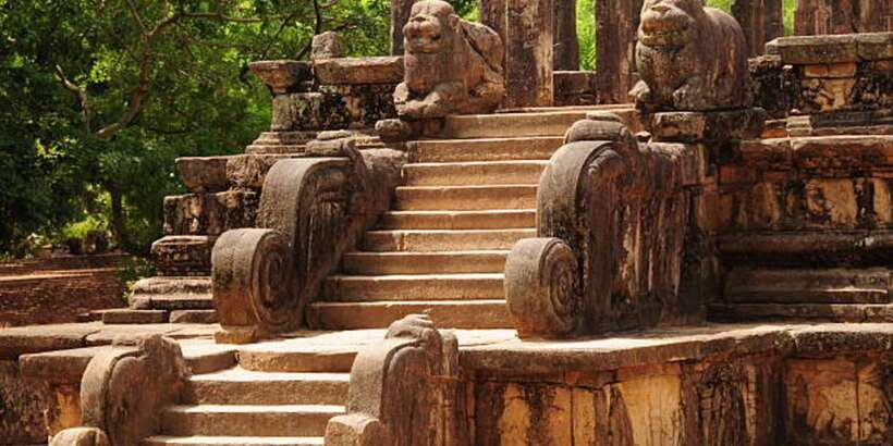 Polonnaruwa Day Tour With Minneriya NP Elephant Safari - Key points to know before booking
