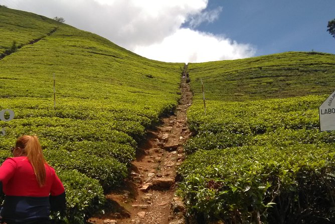 Private all inclusive Day tour Kandy, Pinnawala, & your own selected attractions - 6:30 a.m. pickup and the road toward Kandy