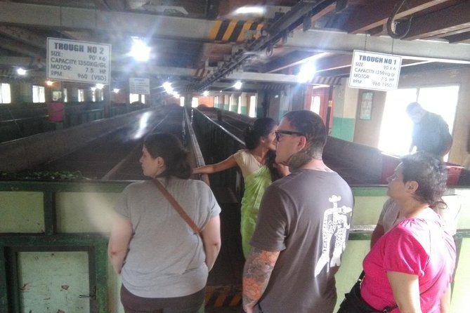 Private all inclusive Day tour Kandy, Pinnawala, & your own selected attractions - Peradeniya Royal Botanical Gardens and the duplicated schedule