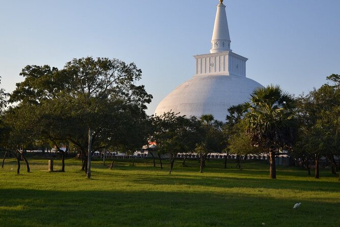 Private City Day Tour in Anuradhapura - Samadhi Statue and the language of meditation