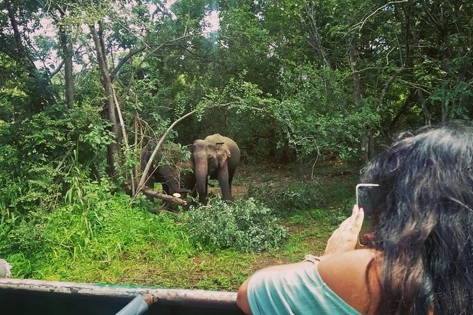 Private Dambulla Sigiriya Tour from Kandy with Lunch - Why this day trip from Kandy makes sense