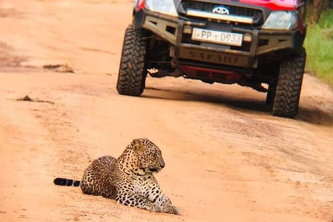Private Day Tour from Colomb to Yala Safari (Leopard Safari Tour) - What makes Yala National Park special