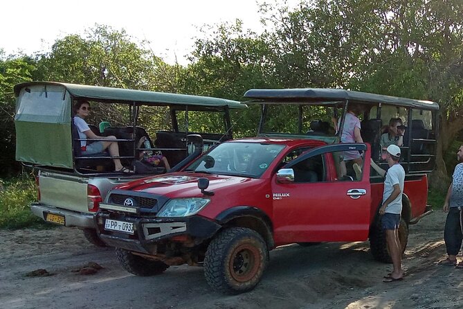 Private Day Tour from Colomb to Yala Safari (Leopard Safari Tour) - Four hours inside the park
