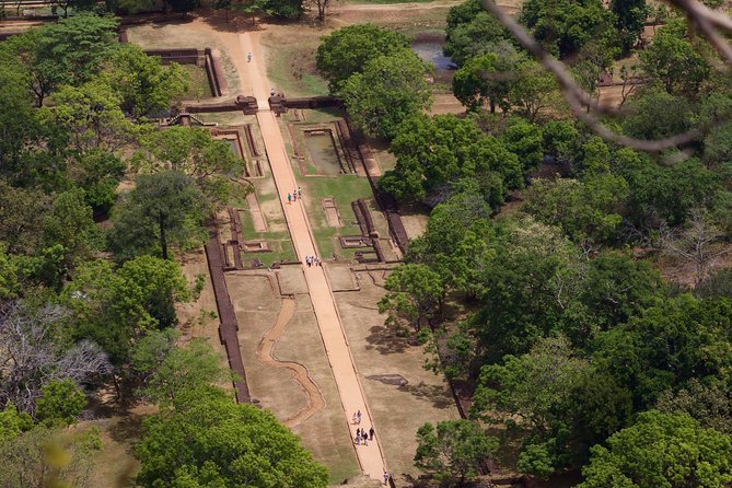 Private Day Tour from Colombo to Sigiriya, Dambulla & Pidurangala - What the driver service is really like