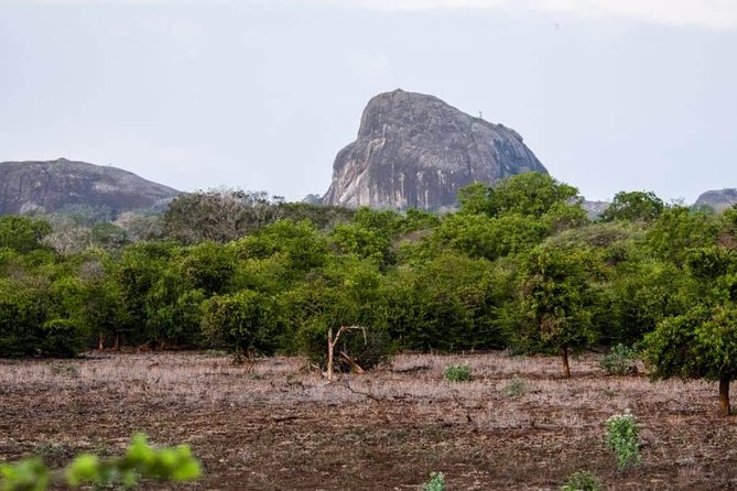 Private Day Tour: Yala National Park Safari Tour from Galle & Weligama - A home-cooked lunch with a local family