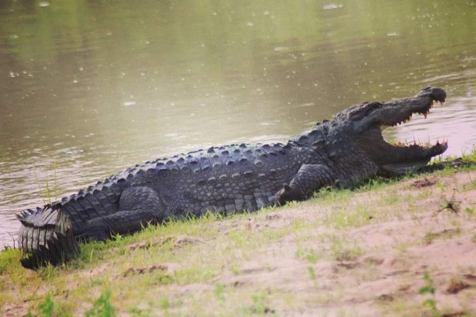 Private Day Tour: Yala National Park Safari Tour from Galle & Weligama - Transport, timing, and the value of $290