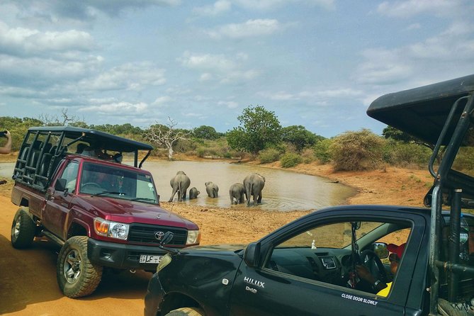 Private Day Tour: Yala National Park Safari Tour from Galle & Weligama - The 4:00 am start from Galle or Weligama