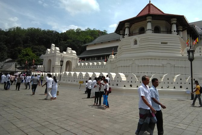 Private Day trip Kandy & pinnawala with your selected attractions - Why this private Kandy day trip makes sense