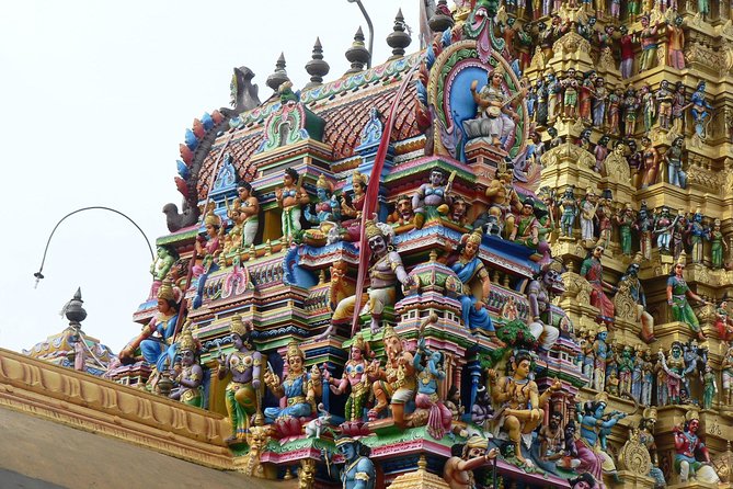 Private Day Trip to Sigiriya & Dambulla from Kandy – Aaliya Tours - Food, stops, and the real cost