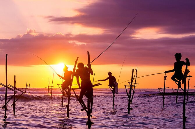 Private Day Trip to Yala National Park from Colombo - What the $180 price really covers