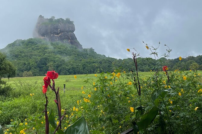 Private Full Day Tour Sigiriya and Dambulla From Kandy - Dambulla’s caves reward close attention