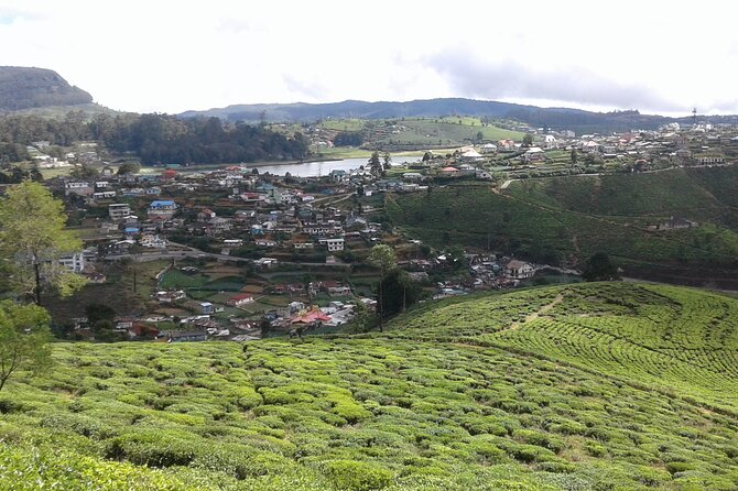 Private Full Day Tour to Nuwara Eliya from Kandy - The free tea factory visit