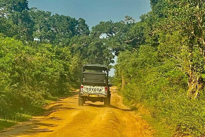 Private Full Day Udawalawe Safari Trip with Lunch - The long journey from Bentota