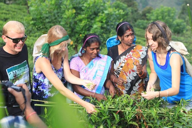 Private Galle Day Tour with Boat Safari & Tea Factory Visit - All Inclusive - Bentota River safari: the best change of pace