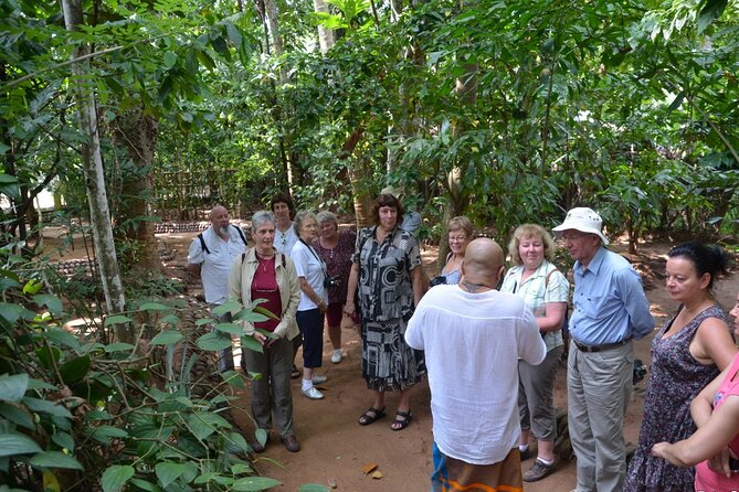 Private Galle Day Tour with Boat Safari & Tea Factory Visit - All Inclusive - Tea plantation and factory: a useful look at Sri Lankan production
