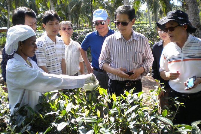 Private Galle Day Tour with Boat Safari & Tea Factory Visit - All Inclusive - Galle Dutch Fort in one focused hour