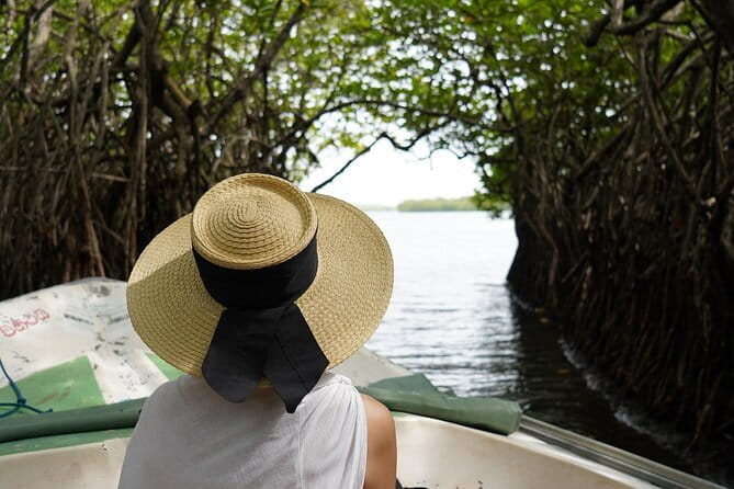 Private Galle Day Tour with River Safari, Stilt fishing & Turtles - Moving slowly through the Madu River