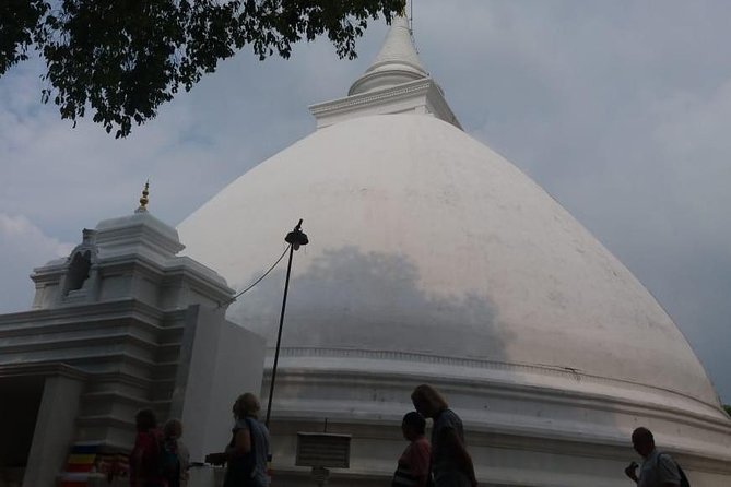 Private Half-Day Colombo City Tour - Gangaramaya Temple, the tour’s main cultural stop