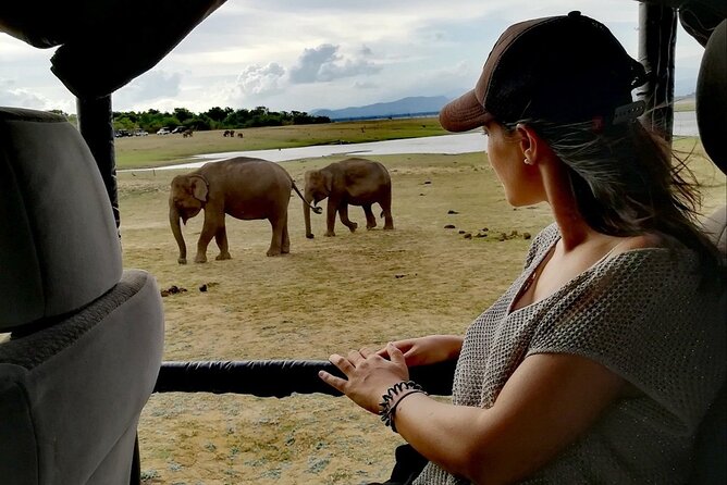 Private Half Day Safari in Udawalawe National Park - Conservation adds meaning to the drive