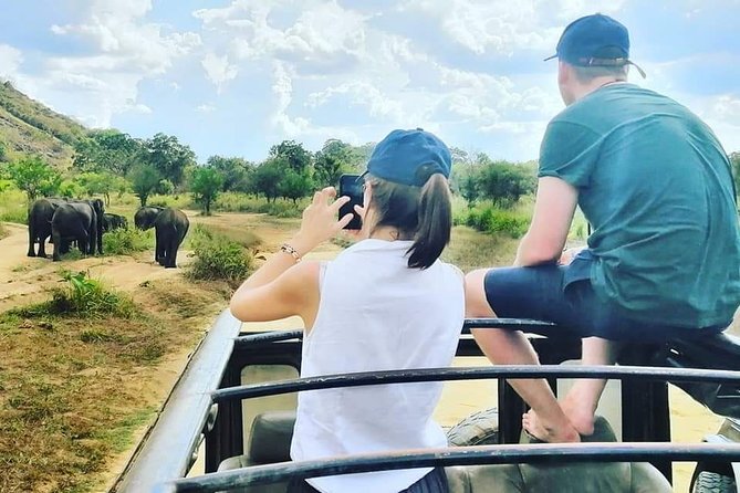 Private Jeep Safari at Minneriya National Park - The Jeep ride and game drive