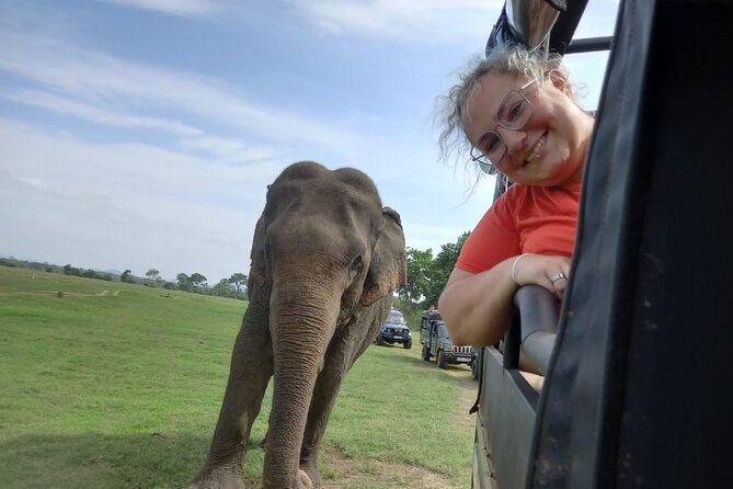 Private Jeep Safari at Minneriya National Park to Visit Elephants - Seeing elephants without turning them into a show