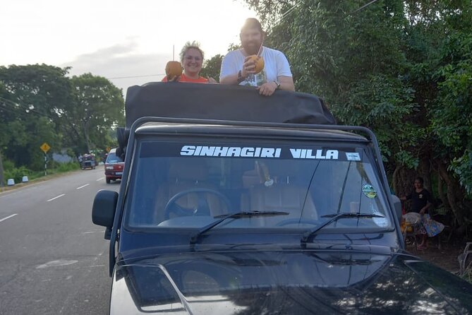 Private Jeep Safari at Minneriya National Park to Visit Elephants - The elephant sightings you may get