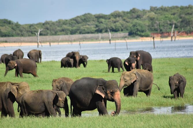 Private Jeep Safari To one of a Best National Park - Who will enjoy this safari most?