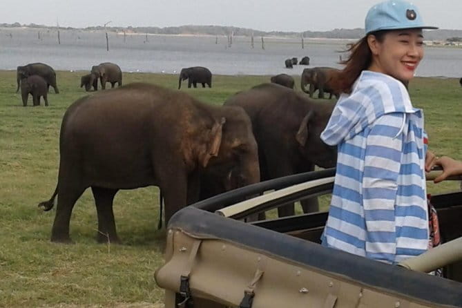 Private Jeep Safari To one of a Best National Park - Booking advice and cancellation terms