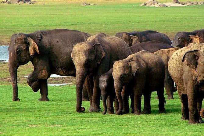 Private Jeep Safari To one of a Best National Park - FAQ