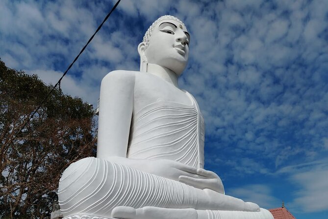 Private Kandy City Tour: Temple of the Tooth & Lake Highlights - Starting at Asgiriya Maha Viharaya