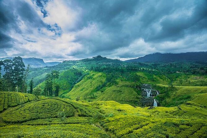 Private Multi-Day Outdoor Tour in Sri Lanka - Day Three: Kandy’s Sacred Temple and Botanical Gardens