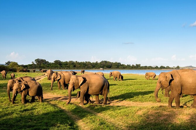 Private Multi-Day Outdoor Tour in Sri Lanka - Day One: Sigiriya Fortress and Pidurangala Rock