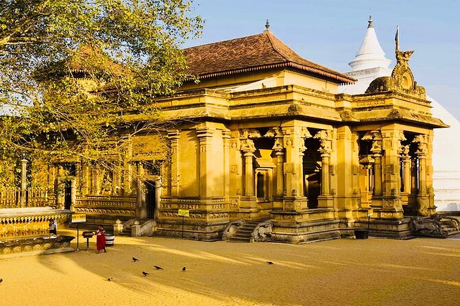 Private Night Tour in Colombo with Street Food Tasting - Arcade Independence Square after dark