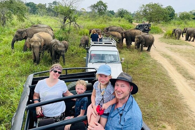 Private Polonnaruwa Ruins & Minneriya Safari Tour from Sigiriya - Choosing between the Suzuki Estilo and NV200