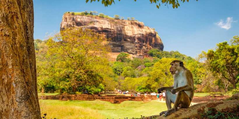 Private Sigiriya and Dambulla Day Tour from Colombo - Packing and Temple Etiquette